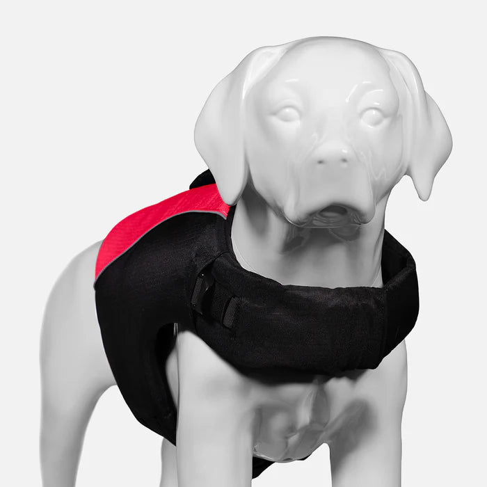 Dog Life Jacket
